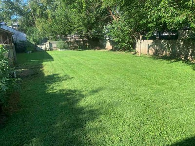 Lawn Care service in Antioch, 60002