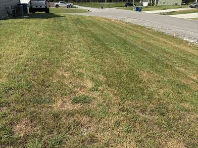 Lawn Care service in White Bluff, 37187