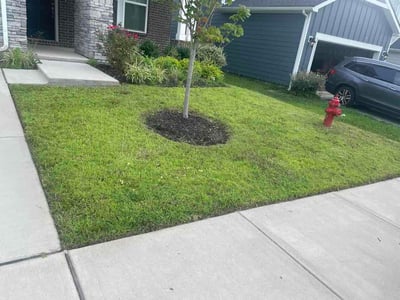 Lawn Care service in White Bluff, 37187