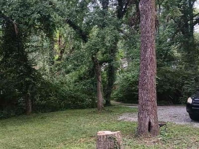 Lawn Care service in White Bluff, 37187