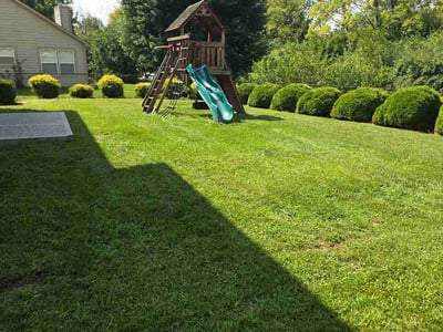 Lawn Care service in Haysville, 47546