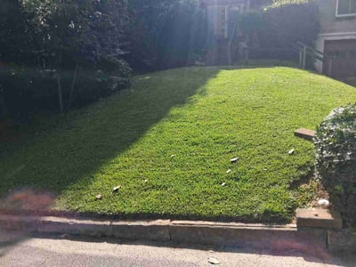 Lawn Care service in Hiram, 30141