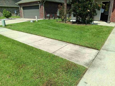 Lawn Care service in Port Allen, 70767