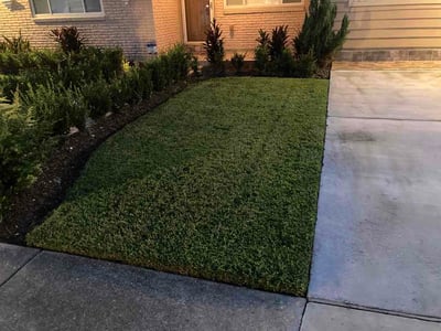 Lawn Care service in Harvey, 70058
