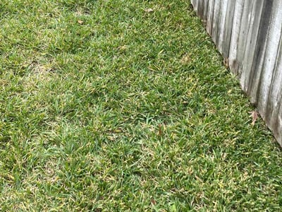 Lawn Care service in Cedar Park, 78613