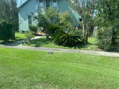 Lawn Care service in Covington, 70433