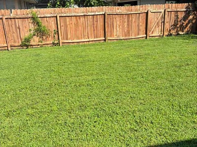 Lawn Care service in Des Plaines, 60016