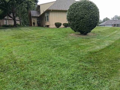 Lawn Care service in Gardner, 66030