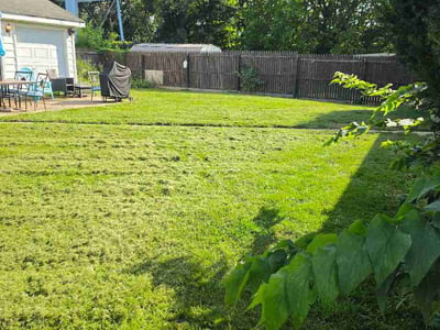 Lawn Care service in Des Plaines, 60016