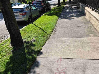 Lawn Care service in Lake In The Hills, 60156