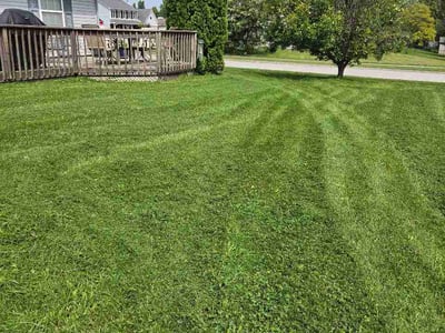 Lawn Care service in Franklin, 46131