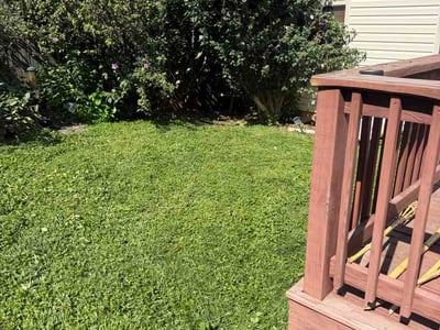 Lawn Care service in Mount Washington, 40047