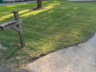 Lawn Care service in Zachary, 70791