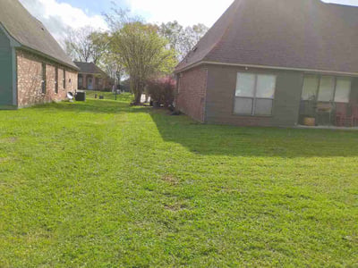 Lawn Care service in Zachary, 70791