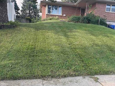 Lawn Care service in Clive, 50325