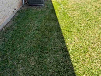 Lawn Care service in Cedar Creek, 78612