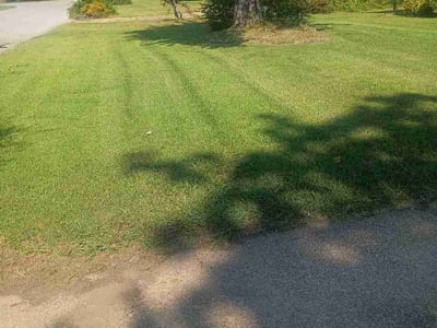 Lawn Care service in Marion, 37347