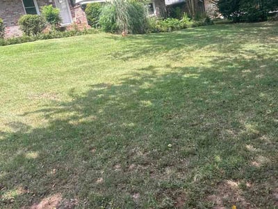 Lawn Care service in Tucker, 30084