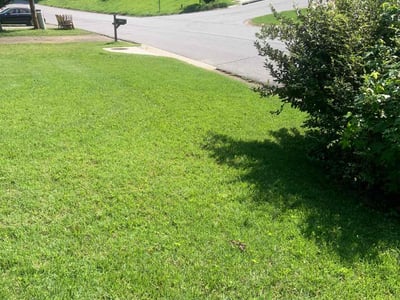 Lawn Care service in Tucker, 30084