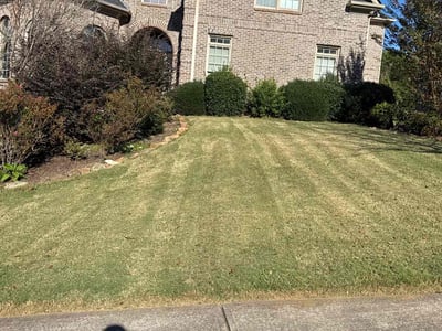 Lawn Care service in Canton, 30114