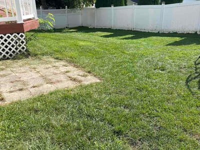 Lawn Care service in Cockeysville, 21030