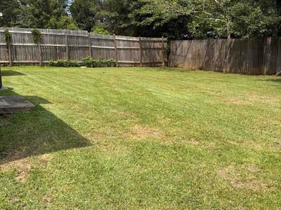 Lawn Care service in Mobile, 36602