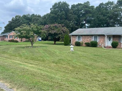 Lawn Care service in Cockeysville, 21030