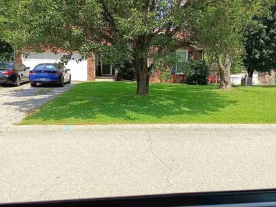 Lawn Care service in Horn Lake, 37160
