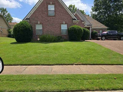 Lawn Care service in Horn Lake, 37160