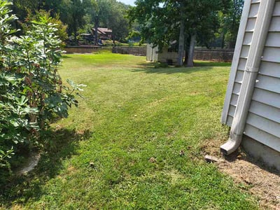 Lawn Care service in Soddy Daisy, 37379
