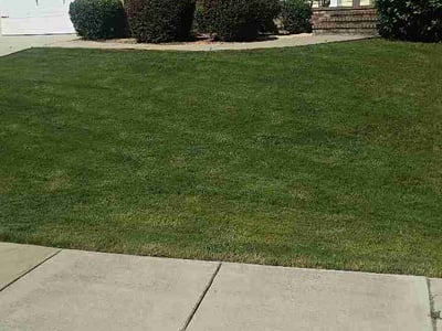 Lawn Care service in Augusta, 30904