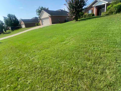 Lawn Care service in Augusta, 30904