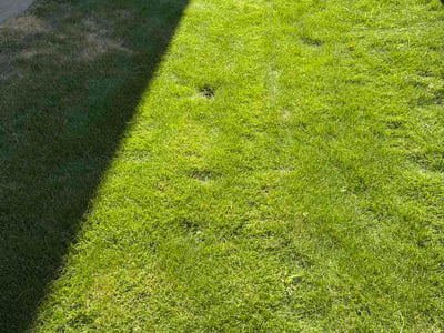 Lawn Care service in Mansfield, 76063