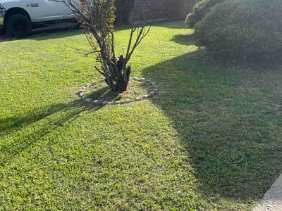 Lawn Care service in Mansfield, 76063