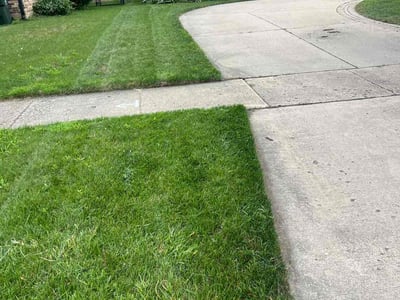Lawn Care service in Westmont, 60559