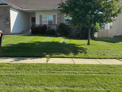 Lawn Care service in Carpentersville, 60110