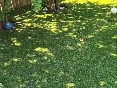 Lawn Care service in Sunnyvale, 75182