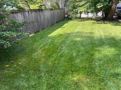 Lawn Care service in Oak Park, 60302