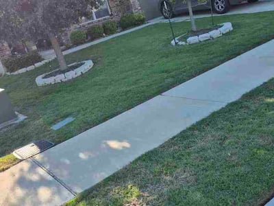 Lawn Care service in Hutto, 78634