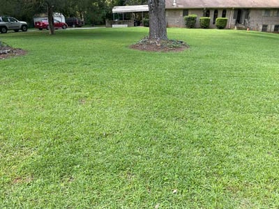 Lawn Care service in Jasper, 30143