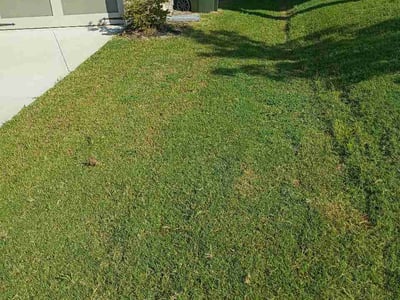 Lawn Care service in Jasper, 30143