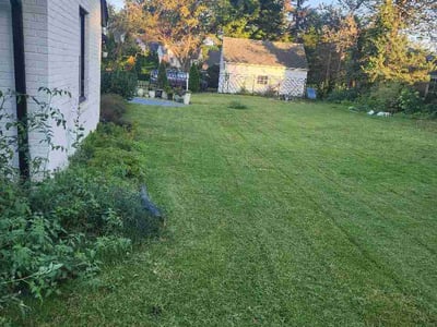 Lawn Care service in Dyer, 46311