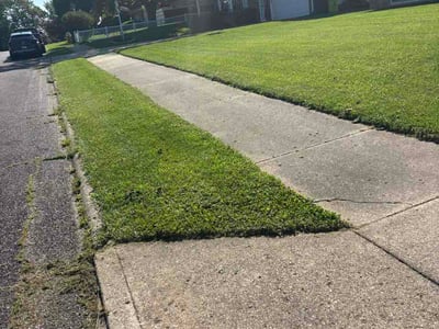 Lawn Care service in Dyer, 46311