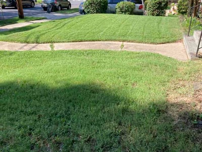 Lawn Care service in Greenbelt, 20770