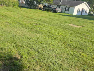 Lawn Care service in Dyer, 46311
