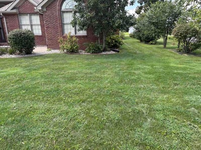 Lawn Care service in Sellersburg, 40475