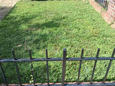 Lawn Care service in Washington, 20036