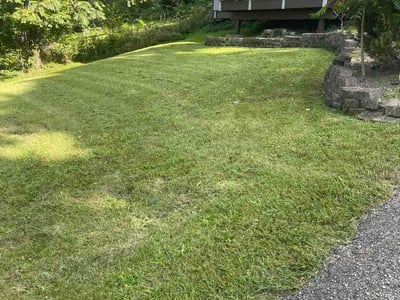 Lawn Care service in Hamilton, 45011