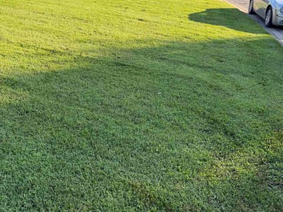 Lawn Care service in Hamilton, 45011
