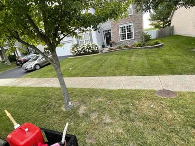 Lawn Care service in Aurora, 60506
